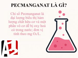 Pecmanganat là gi